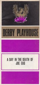 A Day In The Death Of Joe Egg Peter Nichols Derby 1970s Theatre Programme