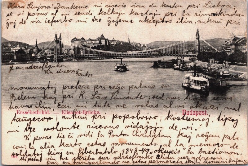 Hungary Budapest Elisabeth Brücke Vintage Postcard C212