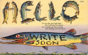 Linen Postcard Whopper Fish Comics Hello Write Soon Written In Fish Curt Teich