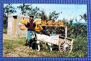 Vtg Boy & Dog Cart Selling Sail Boats along Gaspe North Shore Quebec CN Postcard