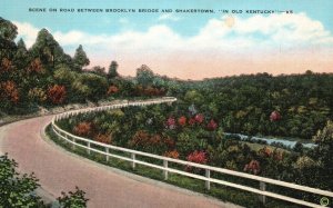 Vintage Postcard 1930's Road Between Brooklyn Bridge and Shakertown Old Kentucky