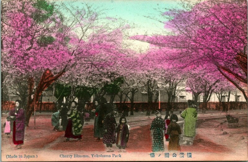 Vintage Postcard 1900-1910 Cherry Blossom, Yokohama Park Japan