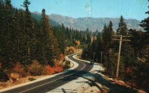 Autumn In Stevens Pass Cascade Mountains Beauty Washington WA Vintage Postcard