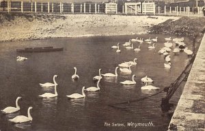 The Swans Weymouth 1917 