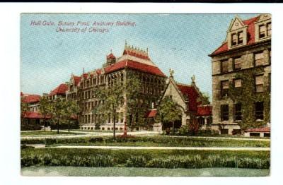 Botany Anatomy University Chicago Illinois 1917 postcard