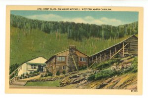 NC - Mt. Mitchell. Camp Alice