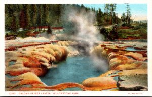 Yellowstone National Park Oblong Geyser Crater Haynes Photo