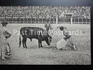 Old PC - BULL FIGHTER / FIGHTING, Finishing with the Bull