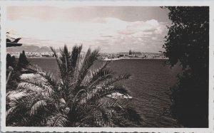 Spain Residencia Hidalgo Palma de Mallorca Vintage RPPC C154