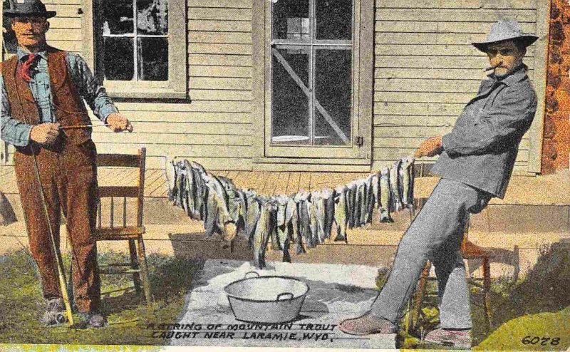 A String of Mountain Trout Fish Fishermen Laramie Wyoming 1910c postcard