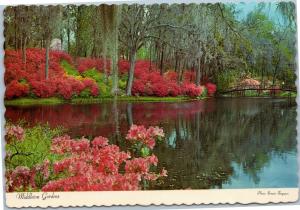 Middleton Gardens Charleston South Carolina