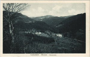 CPA Camaldoli Arezzo Panorama ITALY (805029)