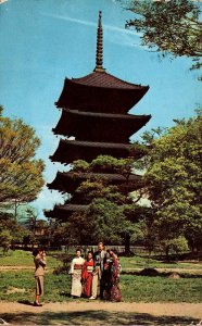 Japan Kyoto Beautiful Pagoda