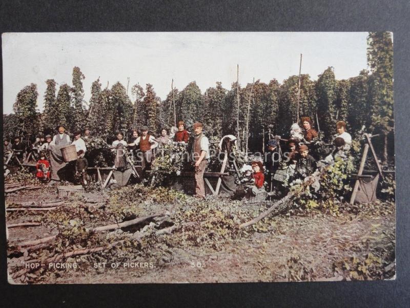 Kent HOP PICKING Set of Pickers c1908 Old Postcard by Young & Cooper