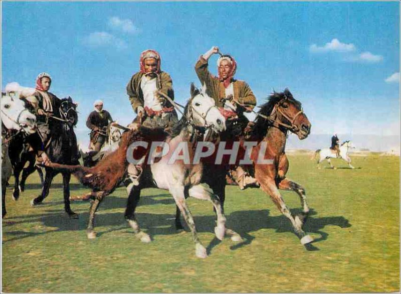 Postcard Modern Afghanistan Buzkashi A Scene of Horses