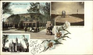 Salt Lake City UT Multi-View c1900 Postcard #4