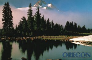 Mount Jefferson Rugged Cascade Trees Waters Mountains Oregon Postcard