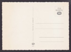 GERMANY, Postcard, Monkeys in the rain, Unposted