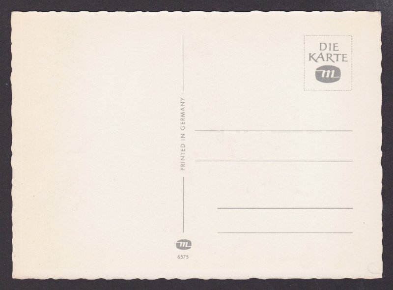 GERMANY, Postcard, Monkeys in the rain, Unposted