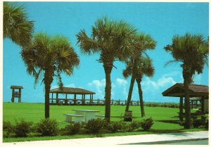 Postcard Hutchinson Along The Island Beautiful Sapcious Public Park Florida