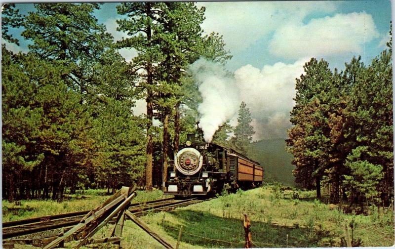 McNARY, AZ Arizona White Mountain SCENIC RAILROAD Steam Train c1950s