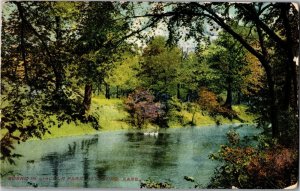 Scene in Lincoln Park Pittsburg KS Vintage Postcard C17
