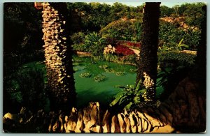 Sunken Gardens San Antonio Texas TX UNP Unused Chrome Postcard A12