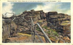 Protected Foot Trail - Whiteface Mountain, Vermont VT  