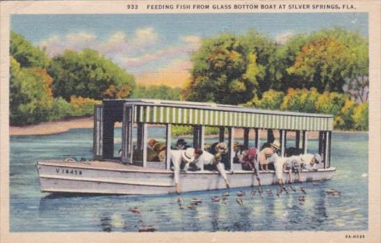 Florida Silver Springs Feeding The Fish From Glass Bottom Boat 1938 Curteich