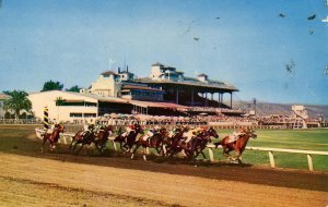 Mexico - Tijuana. Caliente Race Track, Horse Racing