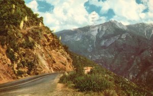 Vintage Postcard 1941 Sequoia National Park Highway East Forest Big Trees CA