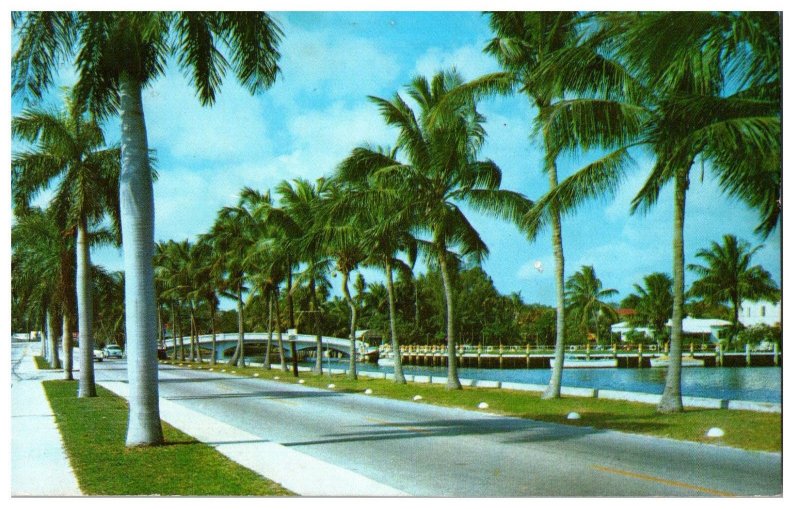 Famous Las Olas Boulevard in Fort Lauderdale Florida Postcard Posted 1975