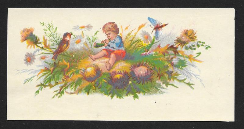 VICTORIAN TRADE CARDS (2) Stock Cards Boy in Flowers with Birds & Insect