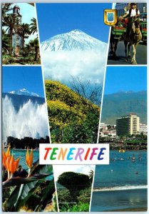 M-86286 Tenerife Spain