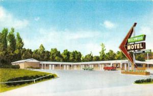 VICKSBURG, MS Mississippi BEECHWOOD MOTEL Roadside c1950s Chrome Artist Postcard