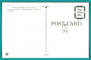 Hunting At It's Best - [MX-852]