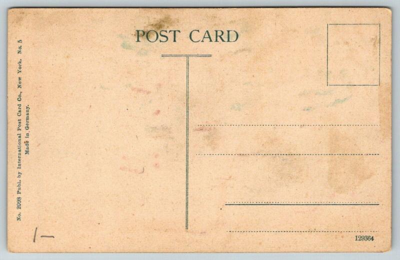 Springfield Missouri~Carnegie Public Library~East Central Street~Trees~c1910 PC