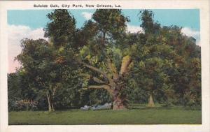 Louisiana New Orleans Suicide Oak In City Park