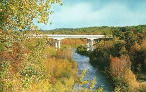 Vintage Postcard Maples & Aspin Peterson Bridge Over Pine On North Baldwin MI