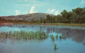 Vintage Postcard Picturesque View Stone Mountain Memorial Park Georgia GA