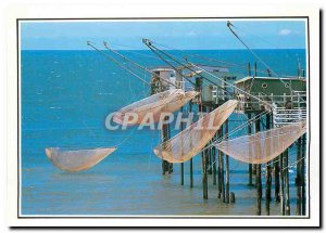 Modern Postcard Images of Sea plaice The sea