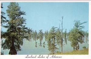 US    PC1425  LOWLAND LAKES OF ARKANSAS