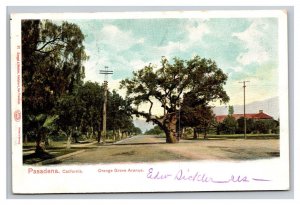 Vintage 1900s Postcard Orange Grove Avenue, Pasadena, California