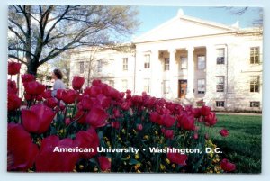 2 Postcards WASHINGTON, D.C. ~ Campus Scenes AMERICAN UNIVERSITY   4x6