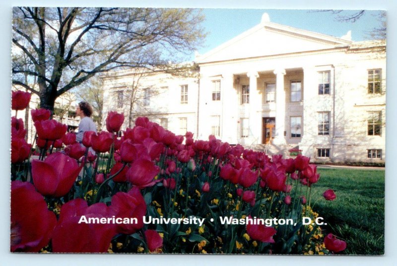 2 Postcards WASHINGTON, D.C. ~ Campus Scenes AMERICAN UNIVERSITY   4x6