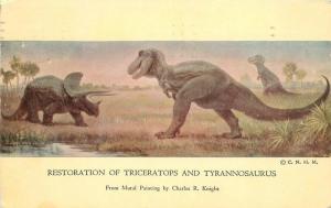 Dinosaurs Chicago Illinois Natural Museum Tyrannosaurus Triceratops  8686