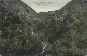 Postcard 1909 California Monrovia View Sawpit Canyon Rieder hand colored 24-49