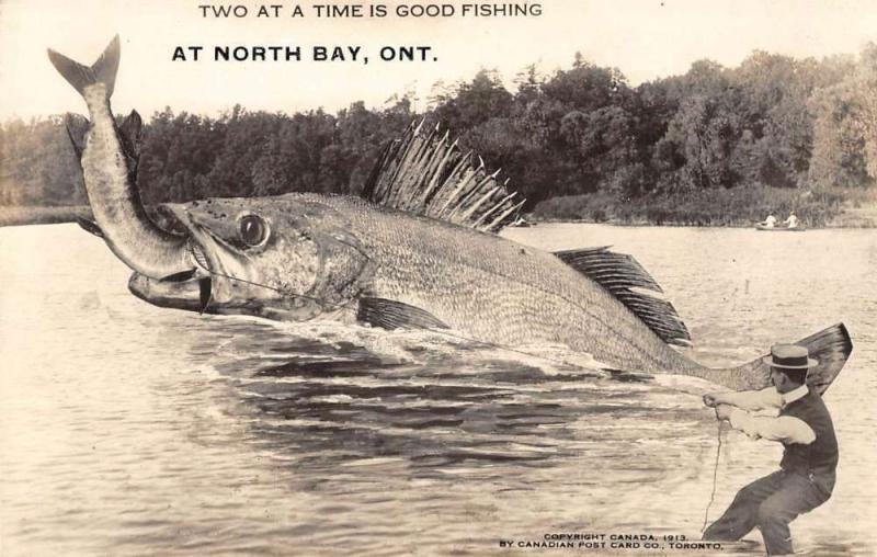 North Bay Ontario Canada Large Fish Catch Real Photo Antique Postcard KA688938