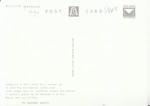 Hampshire Postcard - A Lane Near Selborne - Ref 14531A