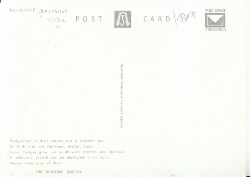 Hampshire Postcard - A Lane Near Selborne - Ref 14531A